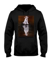 American Pit Bull Terrier Reflection Mug 1412 Hooded Sweatshirt thumbnail