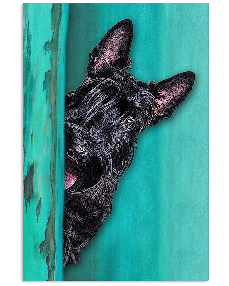 Scottish Terrier Gorgeous 11x17 Poster