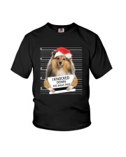 Collie Knocked Down 0112 Youth T-Shirt thumbnail
