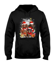 ZEUS - Dachshund Christmas- 2809 - 73 Hooded Sweatshirt front