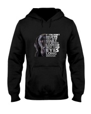 Labrador Retriever and eyes Hooded Sweatshirt thumbnail
