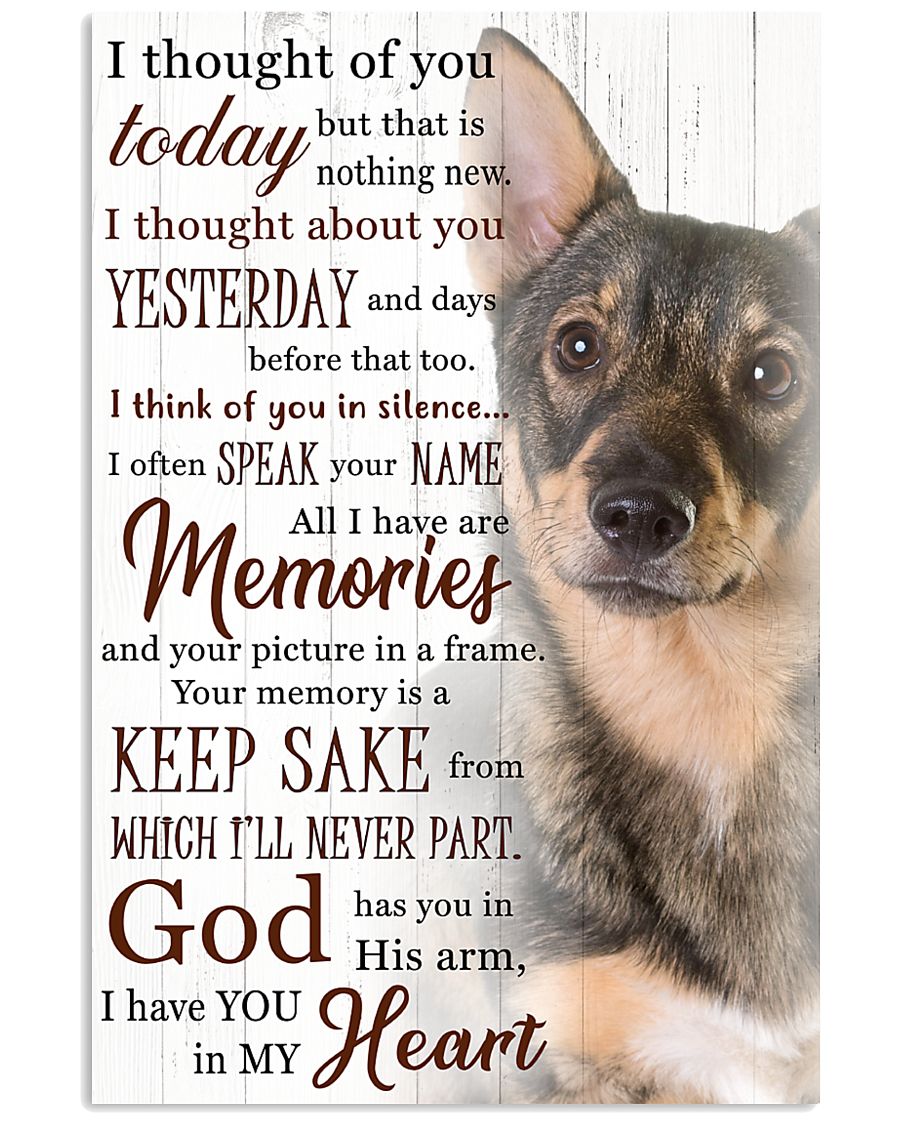 Swedish Vallhund I Have You Poster 1501 11x17 Poster