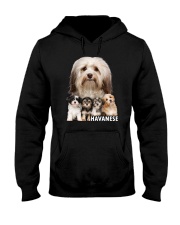 Havanese Awesome Family 0701 Hooded Sweatshirt thumbnail