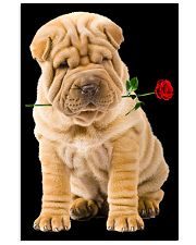 Shar Pei Rose 11x17 Poster front