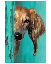 Saluki Gorgeous 11x17 Poster front