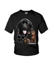 Newfoundland Awesome Youth T-Shirt thumbnail
