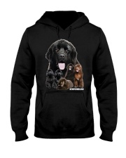 Newfoundland Awesome Hooded Sweatshirt thumbnail