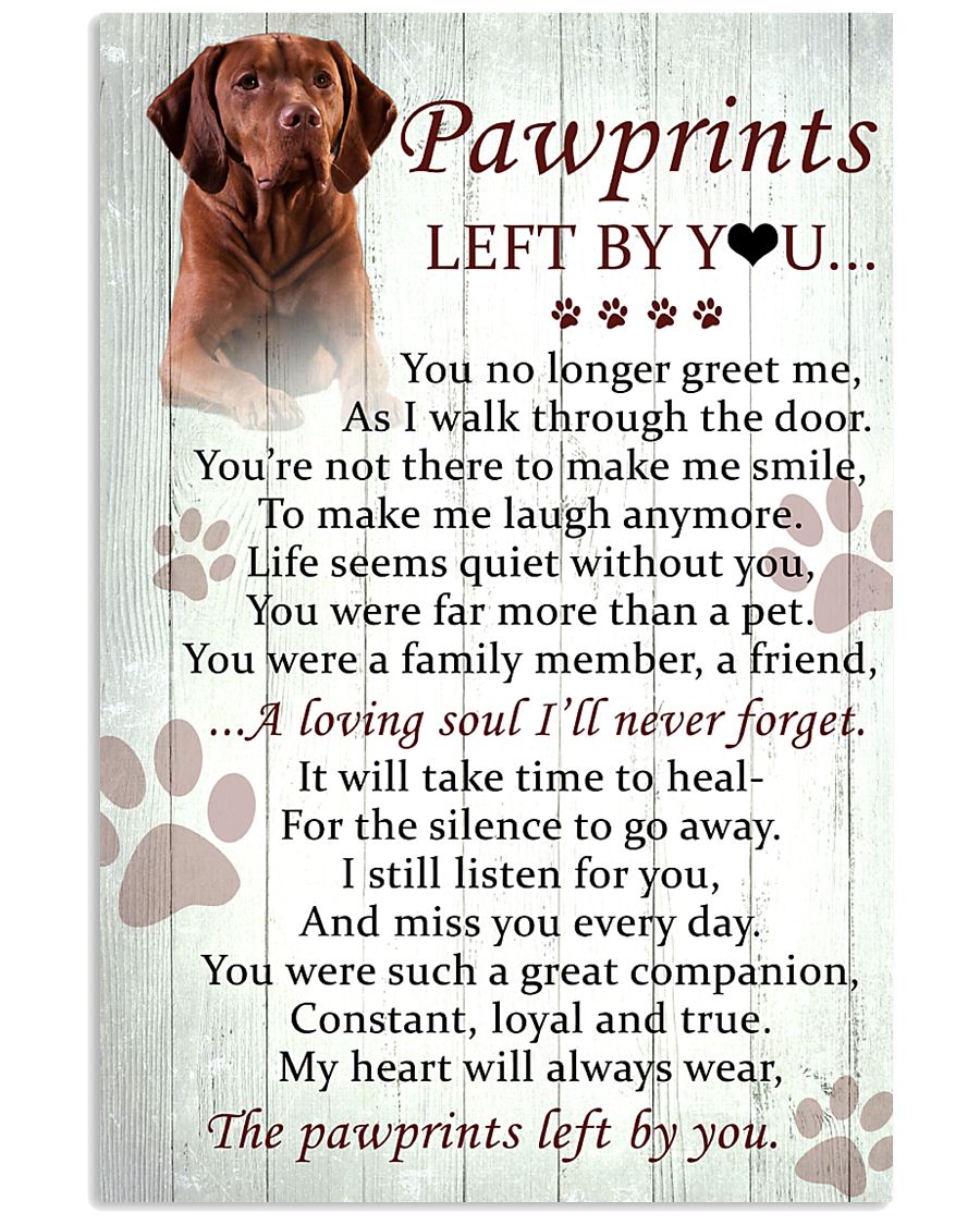 Vizsla Pawprints Poster 2201 11x17 Poster