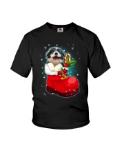 Border Collie socks christmas 0310 Youth T-Shirt thumbnail