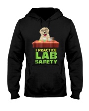 I Practice Lab Safety Funny Labrador Dog Hooded Sweatshirt thumbnail