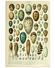 Vintage Egg Print 11x17 Poster front