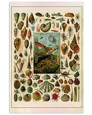 Vintage Mollusc Science 11x17 Poster front