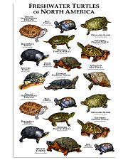Turtles of North America 11x17 Poster front