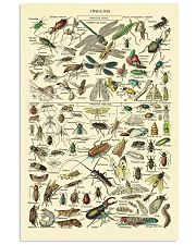 Vintage Science Print 1909 11x17 Poster front