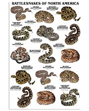 Rattlesnakes Of North America 11x17 Poster front