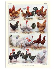 Different Breeds of Roosters 11x17 Poster front