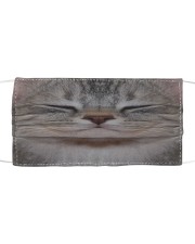 Funy Face Cat Cloth face mask front