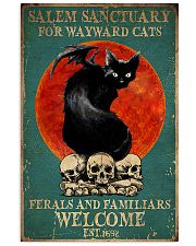 Salem Sanctuary For Wayward Cat 11x17 Poster front
