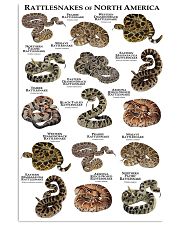 Rattlesnakes of North America 11x17 Poster front
