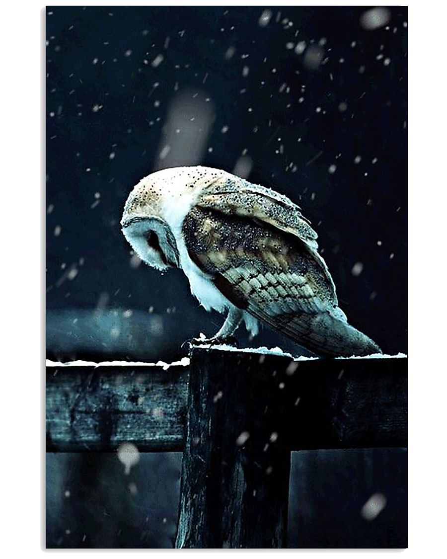 Owl Spirit Art Poster 24x36 Poster