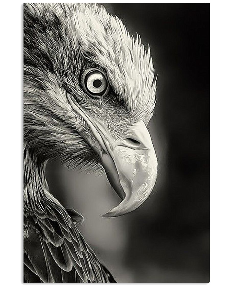 Eagle Spirit Art Poster 24x36 Poster