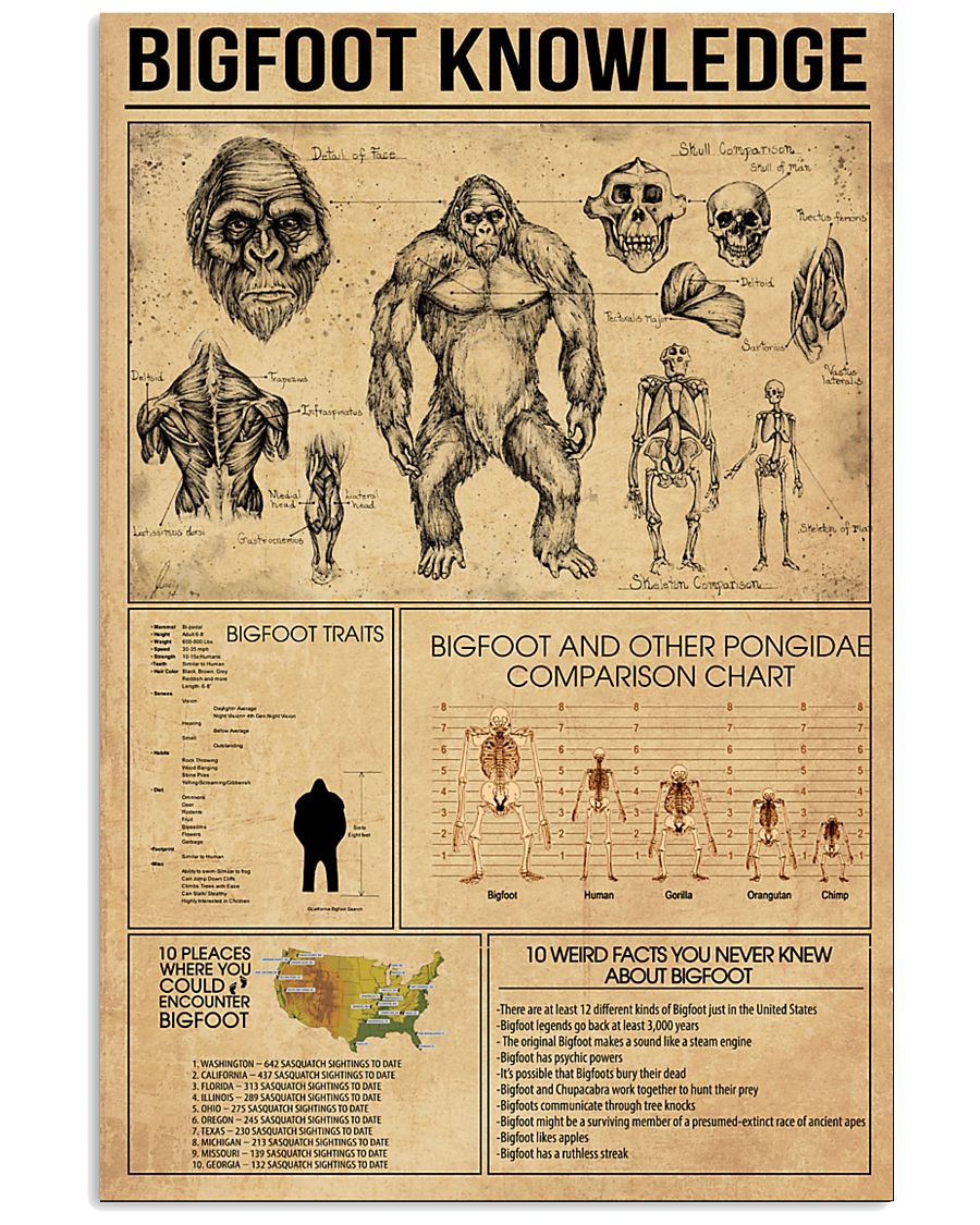 Bigfoot knowledge poster 24x36 Poster