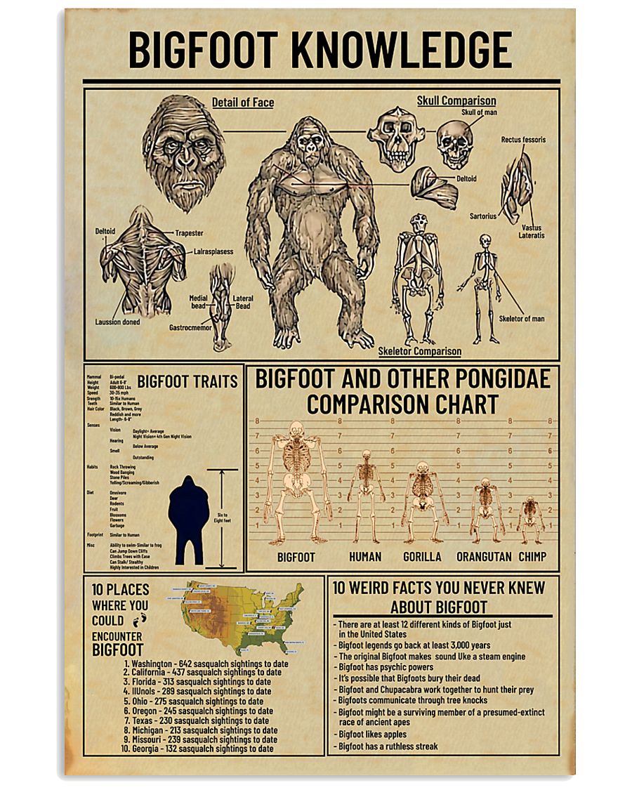 Bigfoot Knowledge 2 11x17 Poster