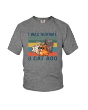 I WAS NORMAL 3 CATS AGO Youth T-Shirt tile