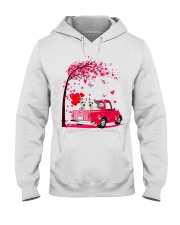 20 Hooded Sweatshirt front