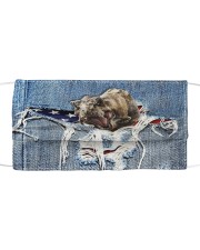 Dinosaur FM SHIP WITHIN 3 TO 5 business days Cloth face mask front