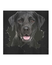 Labrador-Hole Crack Cloth face mask aos-face-mask-coverlet-lifestyle-front-02