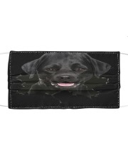 Labrador-Hole Crack Cloth face mask front