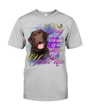 Labrador-Chocolate-DS720 Classic T-Shirt tile