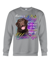 Labrador-Chocolate-DS720 Crewneck Sweatshirt tile
