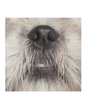 Shih Tzu-Mask Mouth Cloth face mask aos-face-mask-coverlet-lifestyle-front-02