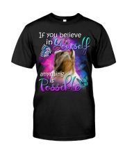 Shih Tzu-In Yourself Classic T-Shirt front