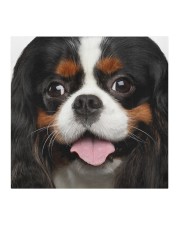 Cavalier King Charles Spaniel-Face Mask Cloth face mask aos-face-mask-coverlet-lifestyle-front-02
