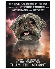 Shih Tzu - Storm 24x36 Poster front