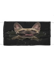 French Bulldog-03-Hole Crack Cloth face mask front