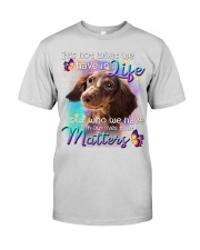 Dachshund-DS828 Premium Fit Mens Tee tile