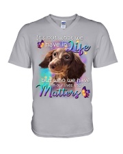 Dachshund-DS828 V-Neck T-Shirt tile