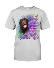 Labrador-Chocolate-Bless You Premium Fit Mens Tee tile