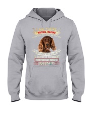 Irish Setter-02-Step Out Hooded Sweatshirt tile
