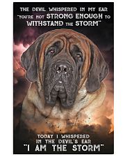 English Mastiff - Storm 24x36 Poster front
