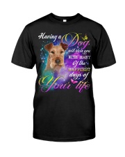 Irish Terrier-Bless You Classic T-Shirt front
