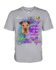 Irish Terrier-Bless You V-Neck T-Shirt tile