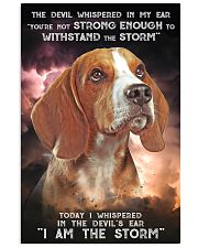 Beagle - Storm 24x36 Poster front
