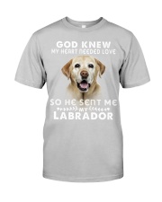 Labrador-DS202 Classic T-Shirt tile