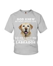 Labrador-DS202 Youth T-Shirt tile