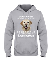 Labrador-DS202 Hooded Sweatshirt tile